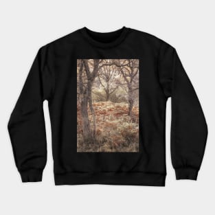 'The First Frost', near Garry Bridge, Pitlochry. Crewneck Sweatshirt